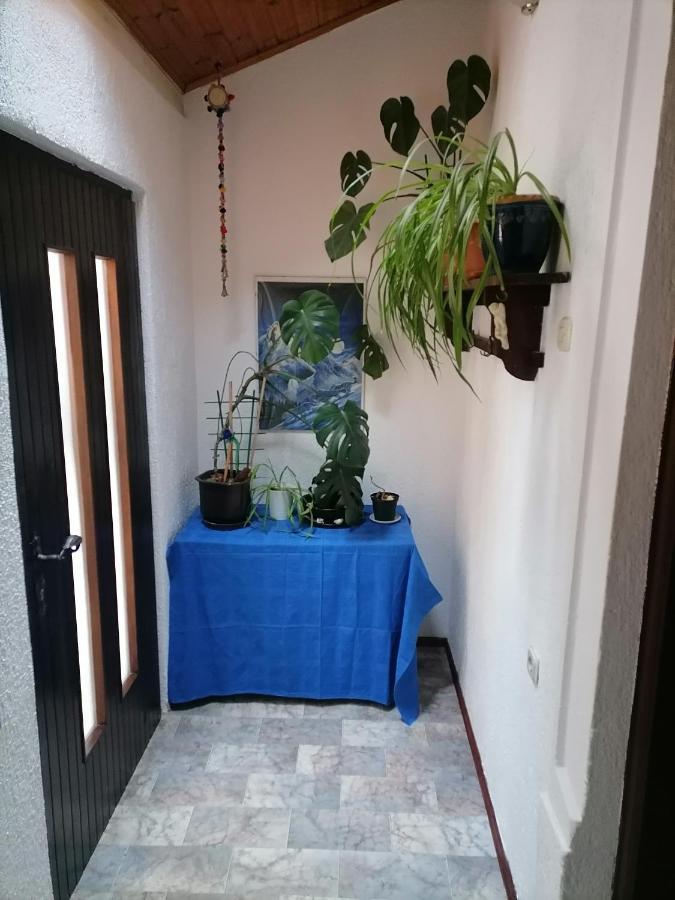 Apartman Zepina Пула Экстерьер фото